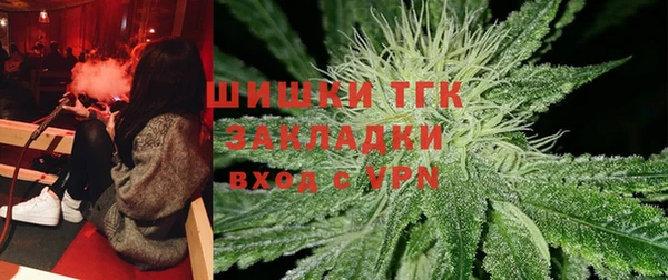МДПВ Карпинск